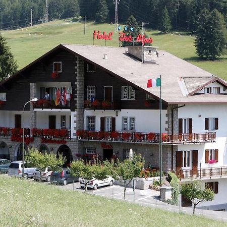Hotel Des Alpes カスティオーネ・デッラ・プレゾラーナ エクステリア 写真