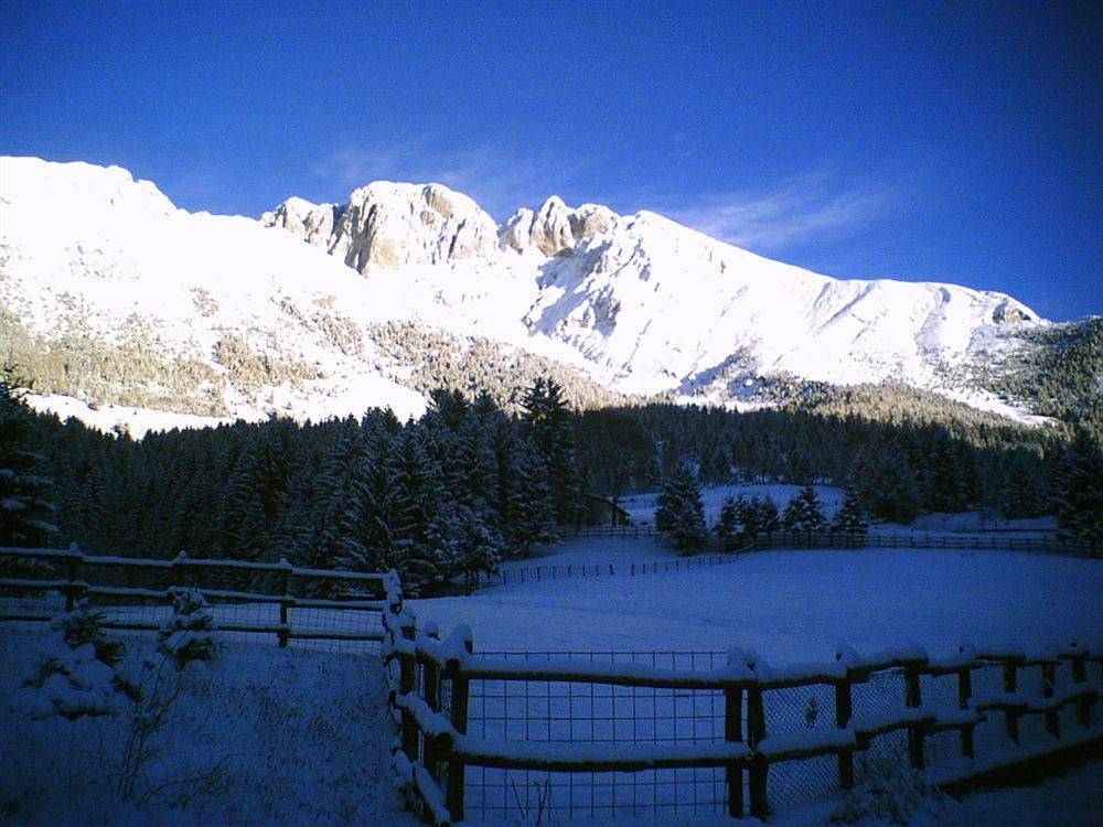 Hotel Des Alpes カスティオーネ・デッラ・プレゾラーナ エクステリア 写真
