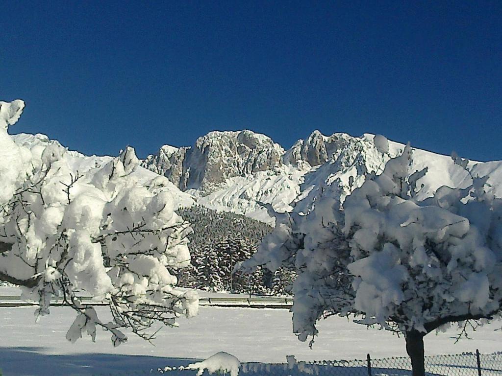 Hotel Des Alpes カスティオーネ・デッラ・プレゾラーナ エクステリア 写真