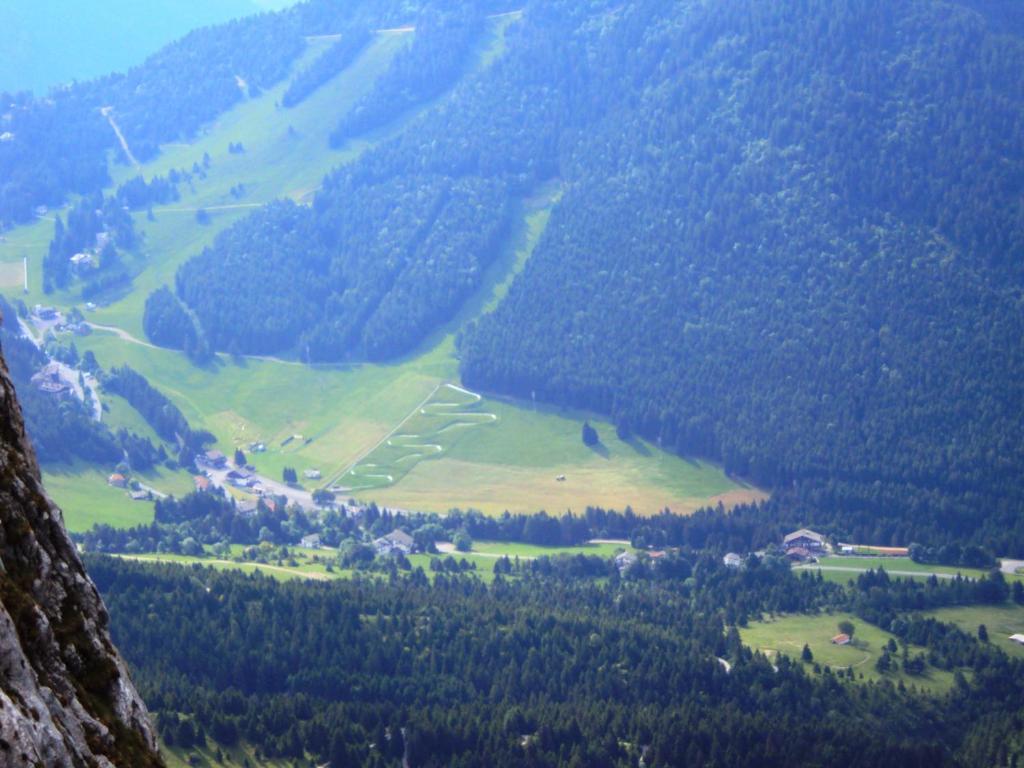 Hotel Des Alpes カスティオーネ・デッラ・プレゾラーナ エクステリア 写真