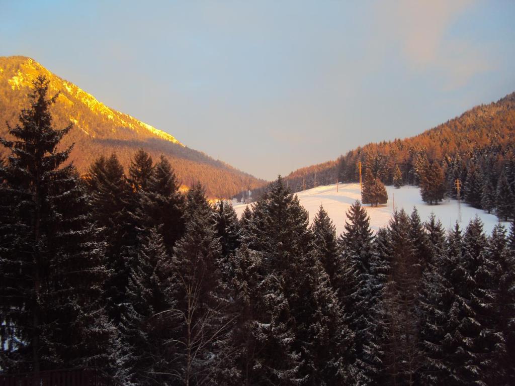 Hotel Des Alpes カスティオーネ・デッラ・プレゾラーナ 部屋 写真