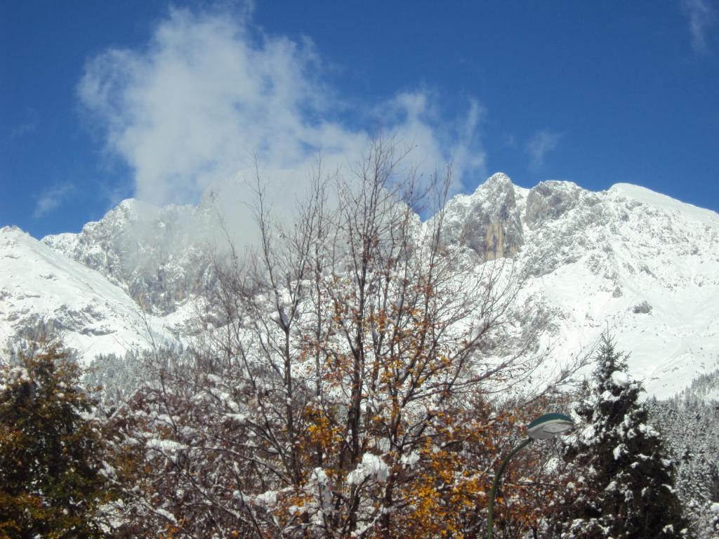 Hotel Des Alpes カスティオーネ・デッラ・プレゾラーナ 部屋 写真