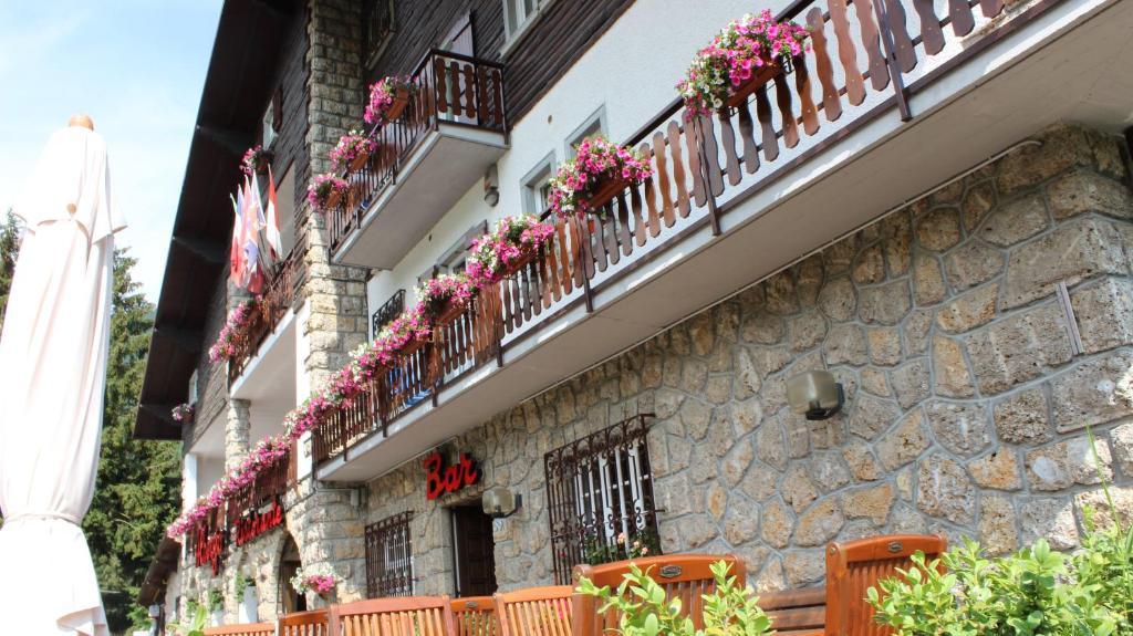 Hotel Des Alpes カスティオーネ・デッラ・プレゾラーナ エクステリア 写真