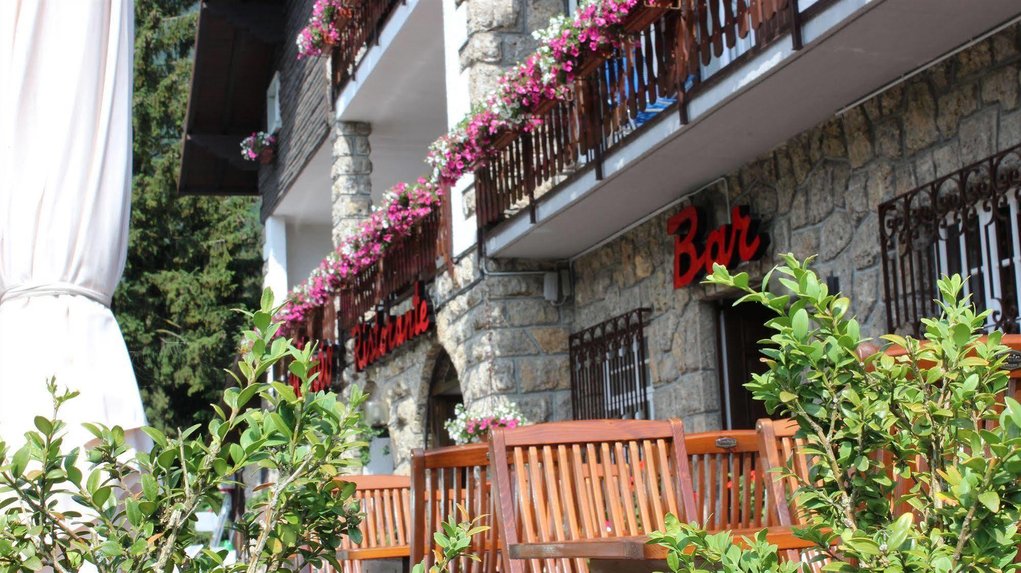 Hotel Des Alpes カスティオーネ・デッラ・プレゾラーナ エクステリア 写真