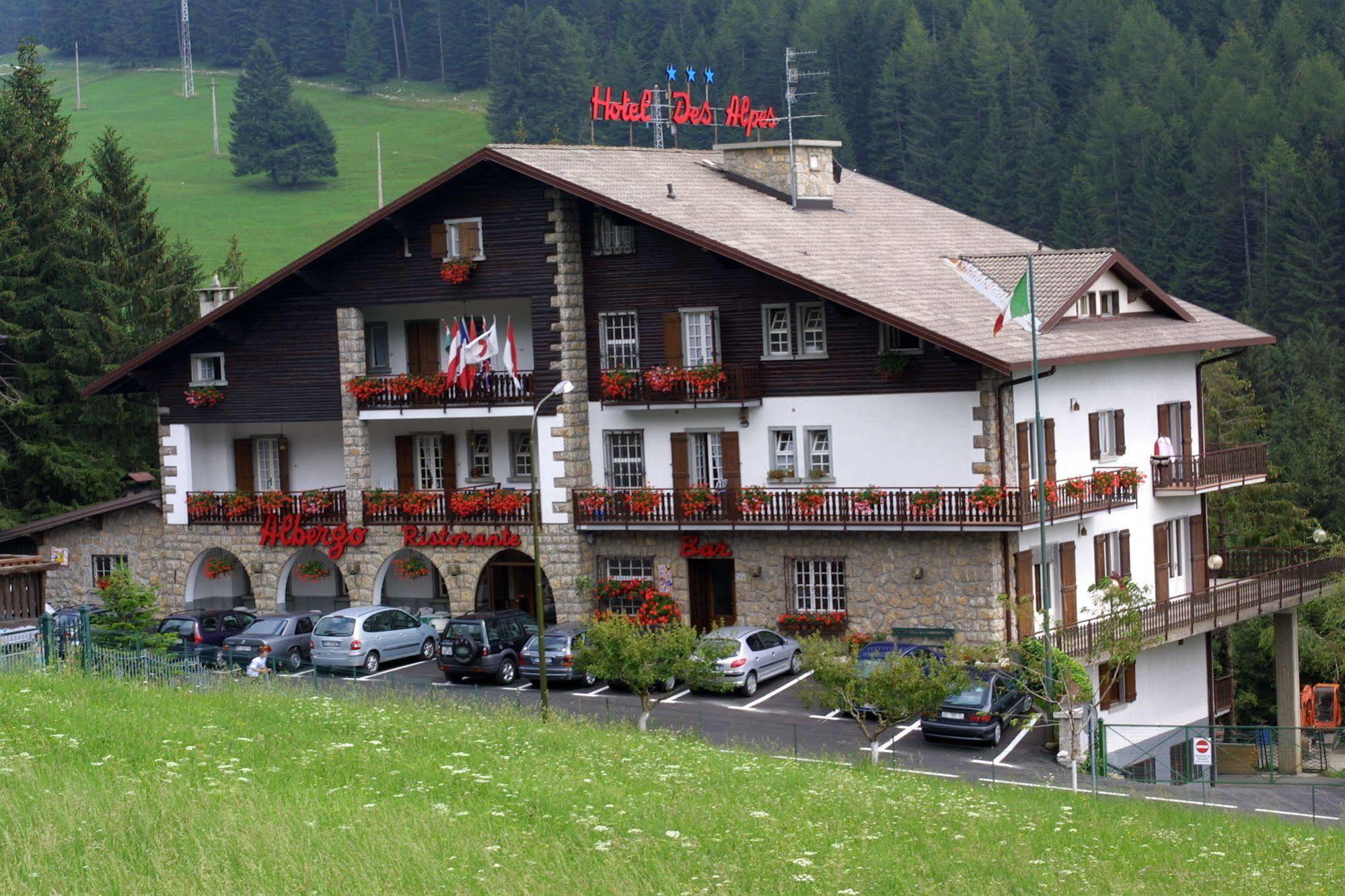 Hotel Des Alpes カスティオーネ・デッラ・プレゾラーナ エクステリア 写真