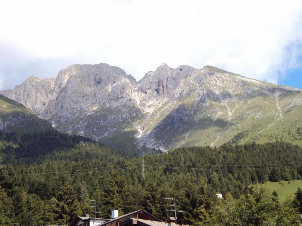 Hotel Des Alpes カスティオーネ・デッラ・プレゾラーナ エクステリア 写真